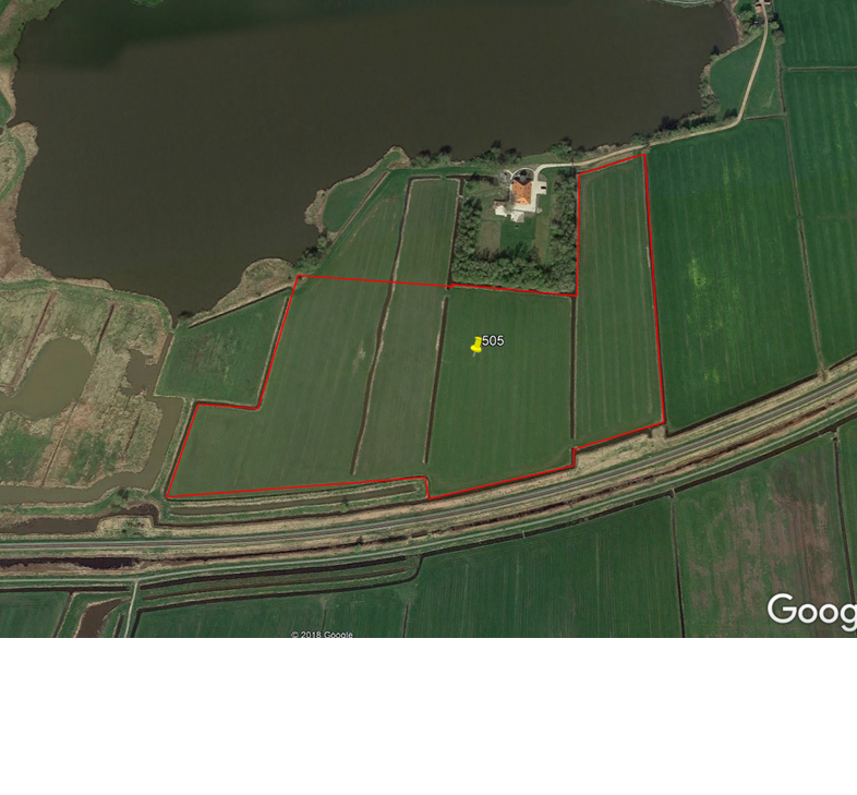 1 perceel grasland gelegen aan de Pikedyk te Abbega 1 perceel grasland gelegen aan de Pikedyk te Abbega
